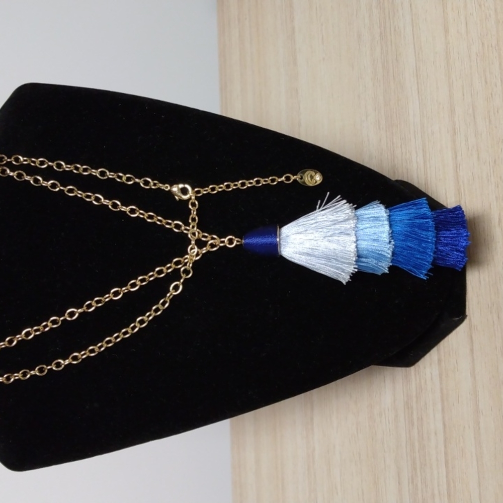 Fun Charming Charlie tassel necklace